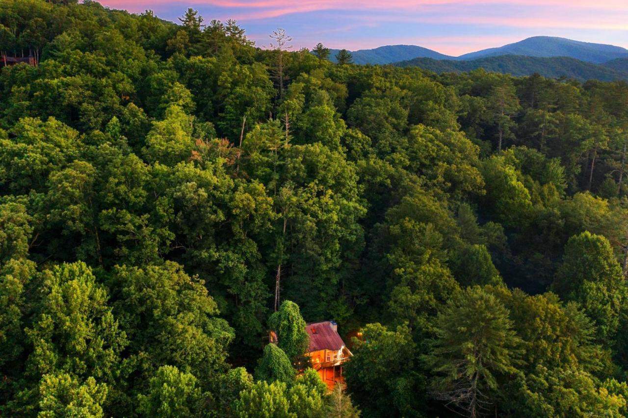 Cozy Cabin Retreat - Hot Tub, Fireplace & Fire Pit Blue Ridge Eksteriør bilde